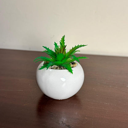 White Mini Pots Set of 4