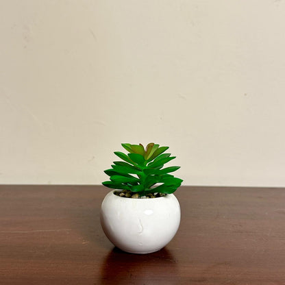 White Mini Pots Set of 4